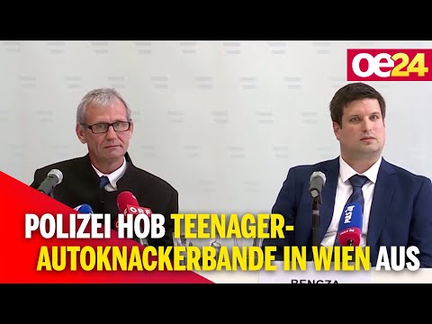 Polizei hob Teenager-Autoknackerbande in Wien aus